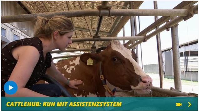 ASSISTENZSYSTEME IM STALL: WENN DAS KALB MELDET, WIE VIEL MILCH ES BRAUCHT