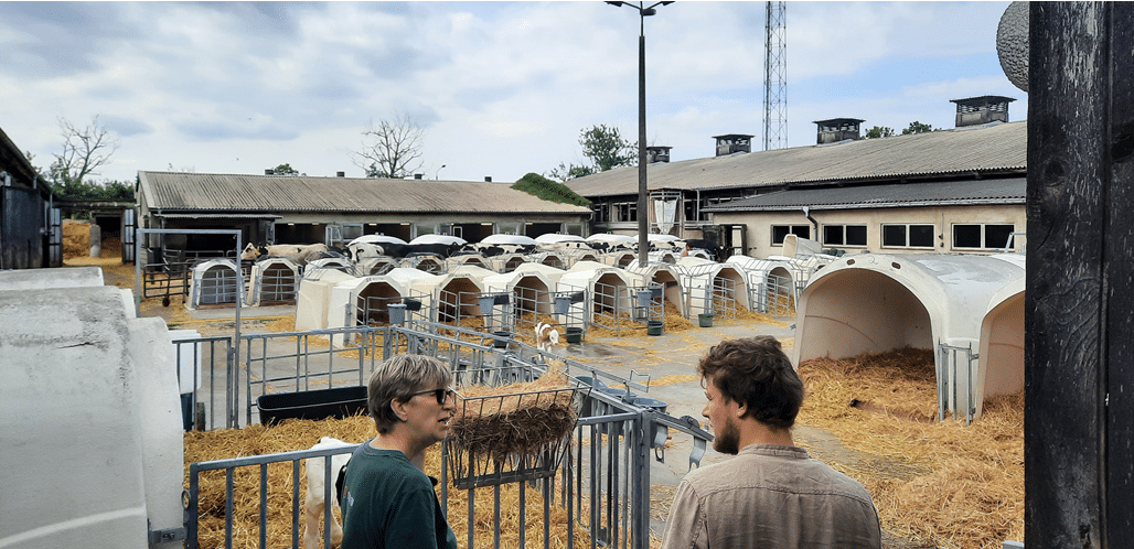 CattleHub | Assistenzsysteme Rinderhaltung